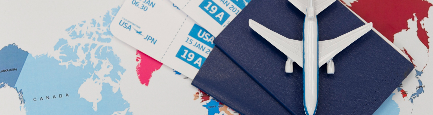 Visa Services"